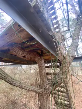 Photo of Glenville Lookout Tower