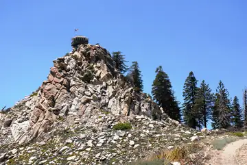 2009