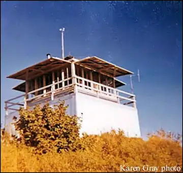 1966