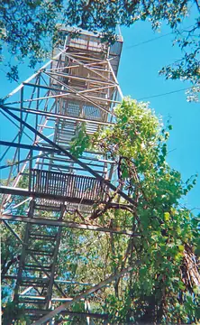 Photo of Mount Bielawski Lookout