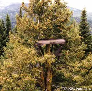 Funk Mtn. crow's nest