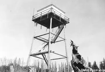 Gisborne Mtn. in 1955