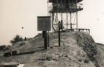 1959