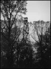 Photo of Prince George Forest Lookout