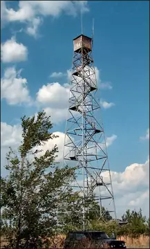 Photo of Longleaf Lookout Tower