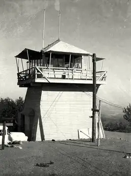 1961