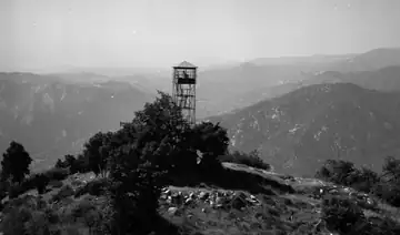 1963