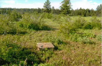 Fairchild Point Lookout site 2010