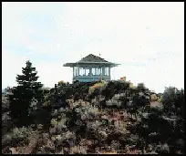 Photo of Dog Mountain Lookout