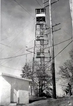 Circa 1950's