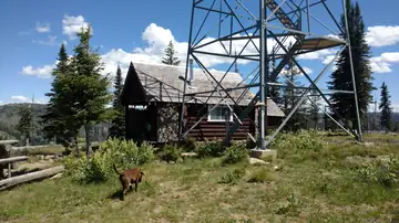 July 2017 photo