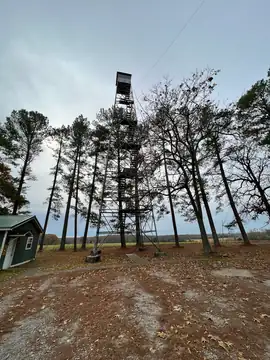 Photo of New Prospect Lookout Tower