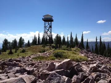 Photo of Mineral Peak Lookout