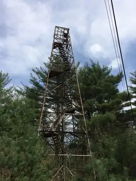 2017 photo