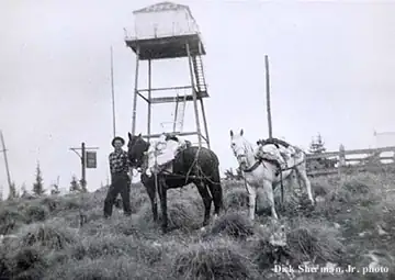 Osier Ridge in the 1950's