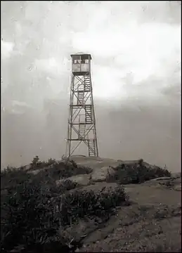 Vintage (c 1920) Photo