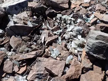 Debris
