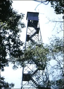 Photo of Kings Park Lookout Site