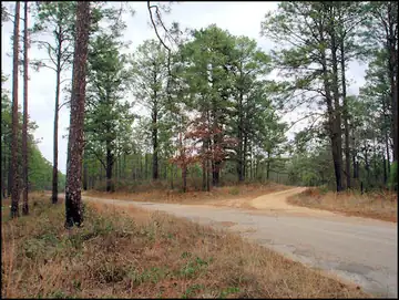 Current approach to lookout site