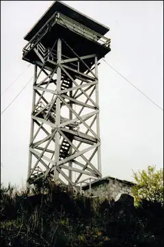 Photo of Cougar Pass Lookout