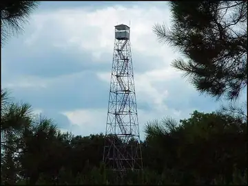 Photo of University Lookout Tower