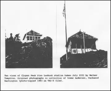 Photo of Cispus Mountain Lookout Site