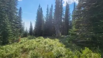 Crittendon Peak Lookout