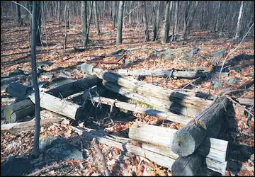 Photo of Dancing Ridge Tower Site II