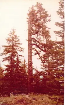 Huckleberrry Mountain Lookout