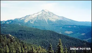 View of Mt. Jefferson from site