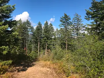 Kings Mountain Lookout site