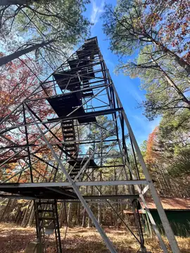 Photo of Lutts Lookout Tower