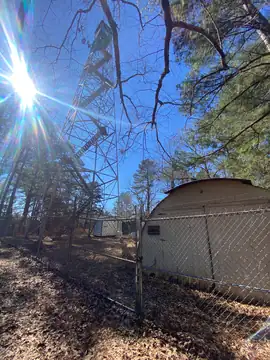 Photo of Webster Lookout Tower