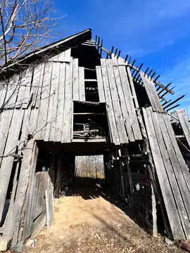 Photo of Kelso Lookout Tower
