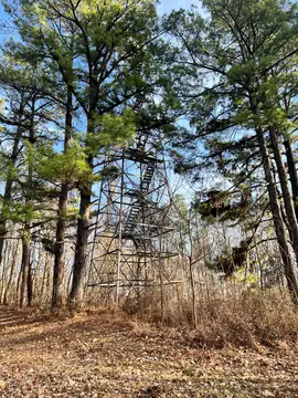 Photo of Open Lake Lookout Tower