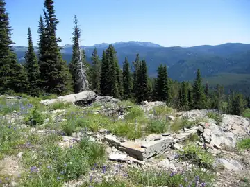 Summit Spring Lookout site 2009