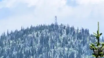 Saddle Mountain Lookout