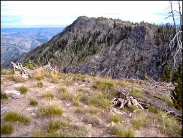 Photo of Tyee Mountain Lookout, 2009