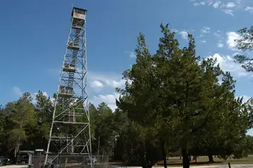 Photo of Cedar Key (Suwannee) Fire Tower