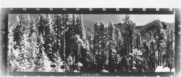Blackjack Ridge Lookout panoramic 8-25-35 (SW)