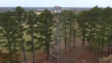 Photo of New Prospect Lookout Tower