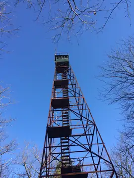 Photo of Rattlesnake Fire Tower