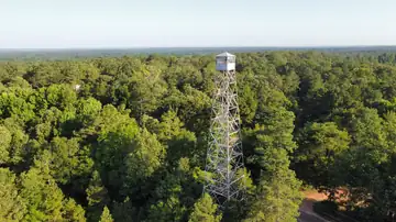 Photo of Skates Lookout Tower