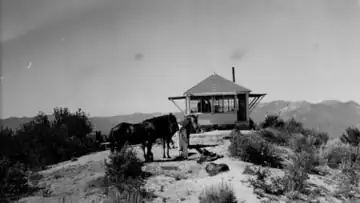 Williams Peak Lookout