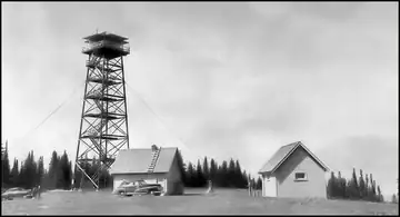 1956