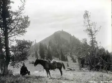 Blue Point in 1937