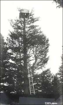 Crow's Nest