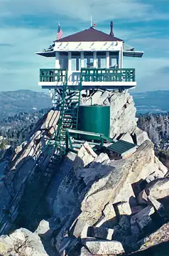 1981