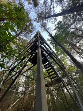 Photo of Midway Lookout Tower