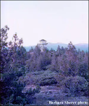 1975